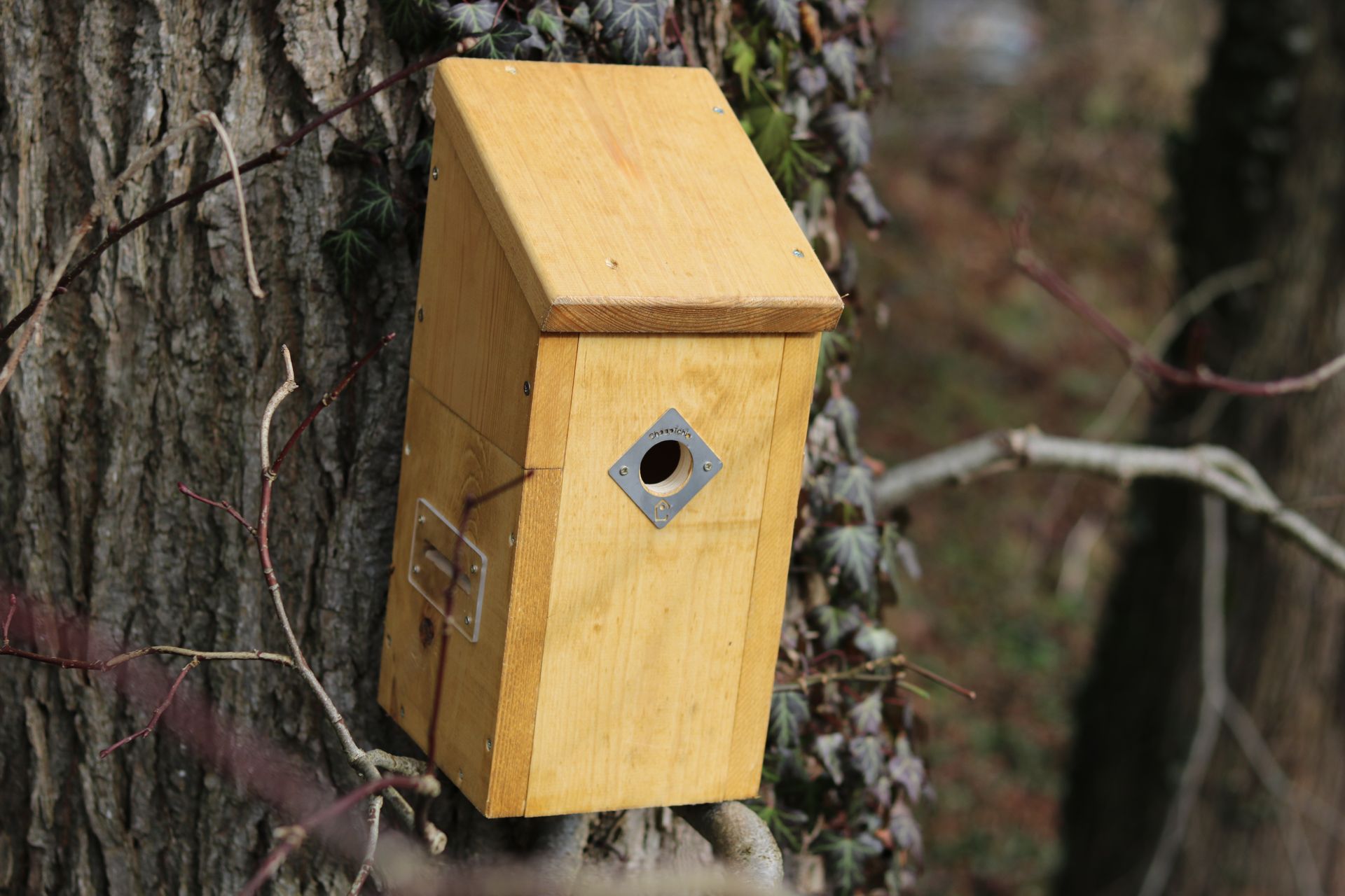 Nichoir caméra pour mésange