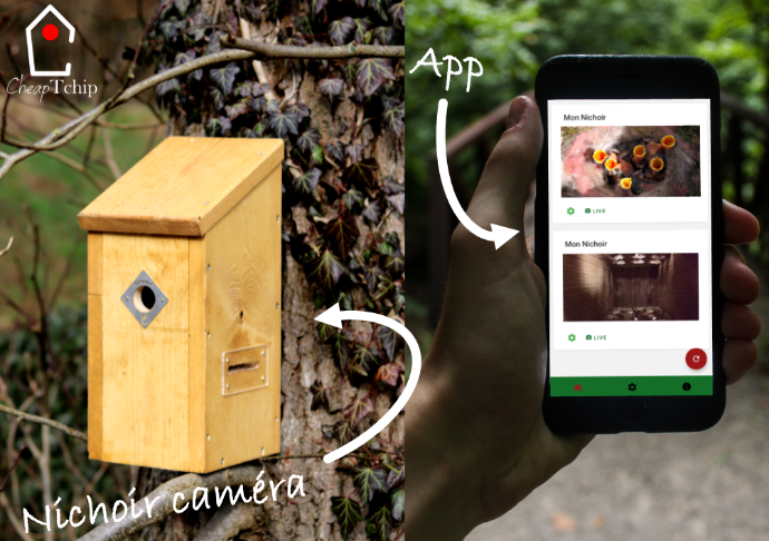 Nichoir caméra avec application smartphone