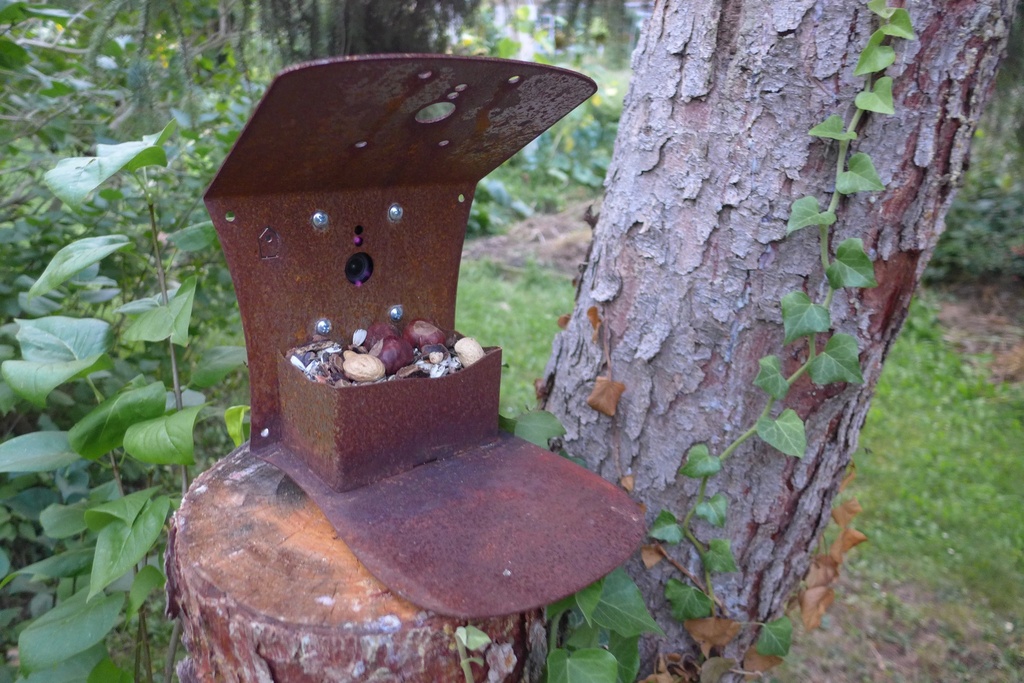 Mangeoire écureuils